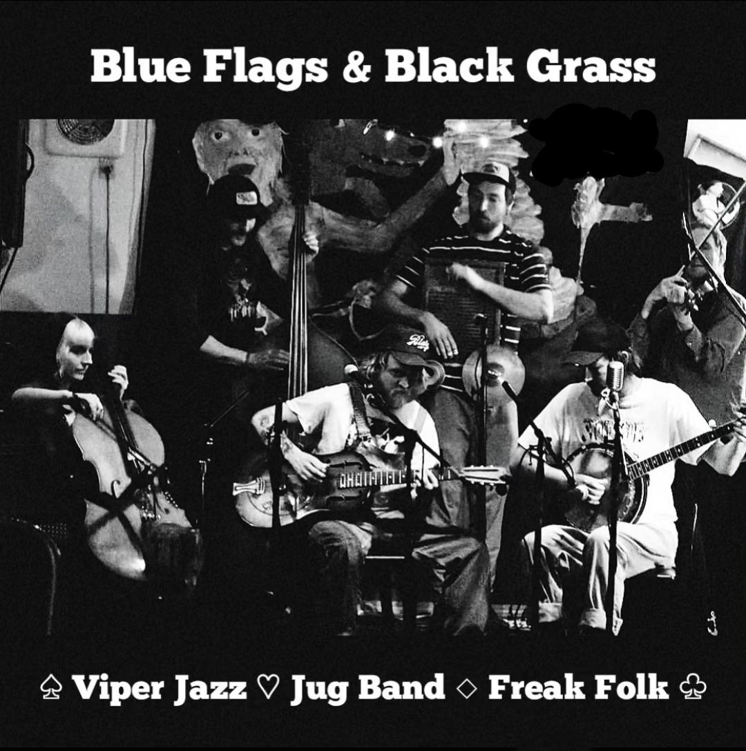 band photo of BLUE FLAGS & BLACK GRASS